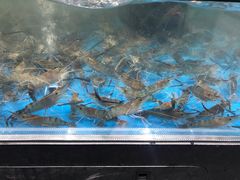 -盒马鲜生(皇庭广场店)