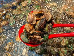 -焰江山海鲜牛排烤肉自助(锦华万达二星店)