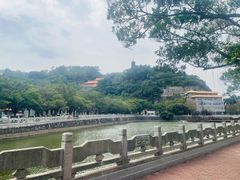 -南沙蒲洲花园
