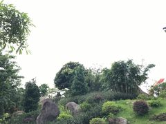 -玉树公园