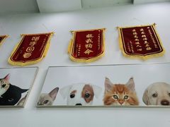 -爱侣宠医·鹦鹉专科·小型哺乳类·异宠专科(灵石路店)