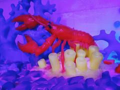 -梦幻奥陶纪景区