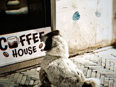 -观桥阁(锦溪店)