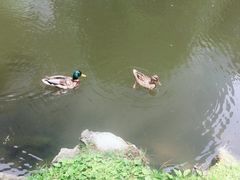 -北海道厅旧本厅舍(旧本庁舎)