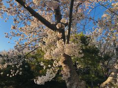 -小龙坎老火锅(北京三里屯店)