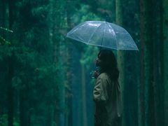 -武陵山森林公园