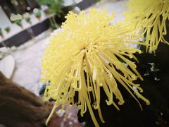 -汇龙潭