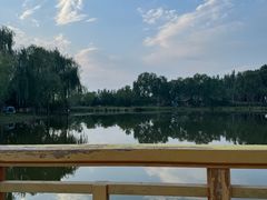 -东郊湿地公园