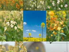 -中国天府农业博览园