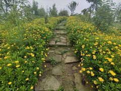 -白鹭湾湿地公园