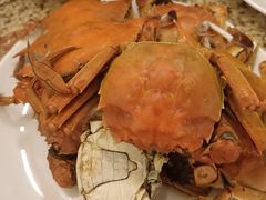 -禾斗海鲜自助(市南银座店)