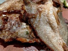 -丁字口海鲜热炒·烧烤大排档