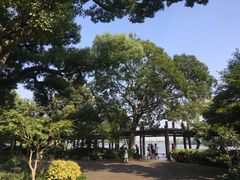 -杭州西湖风景名胜区-钱塘苏小小之墓