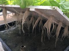 -中国农科院国家农业科技展示园