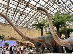 -国家自然博物馆