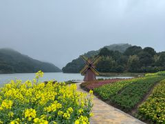 -广州市石门国家森林公园