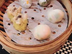 -新兴·金羊座·粤菜点心(乐峰店)