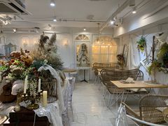 -共舞时光猫咖·狗咖(新街口店)