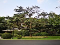 -西郊宾馆·1921餐厅