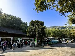 -野象谷景区