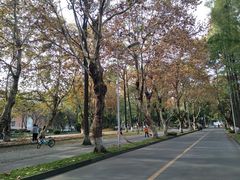 -四川大学(望江校区)