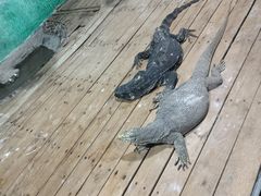 -石家庄市动物园