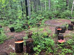 -峡谷浮石林景区