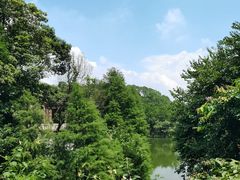 -广州市帽峰山景区