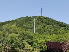 -合肥野生动物园