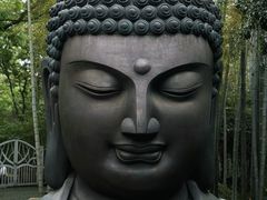 -杭州植物园