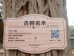 -张掖大佛寺景区