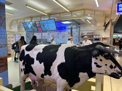 -红星前进面包牛奶公司(君太店)