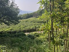 -长广溪湿地公园