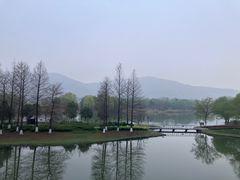 -长广溪湿地公园