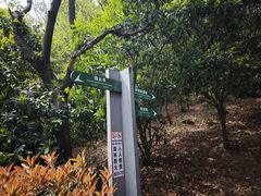 -杭州半山国家森林公园