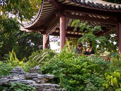 -四海公园(南山区)