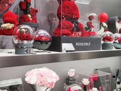-ROSEONLY诺誓(沈阳万象城店)
