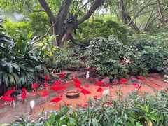 -广州长隆飞鸟乐园