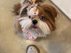 -小意思咖啡店(草桥店)