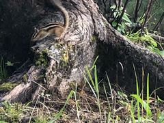 -老猎户炭火锅羊汤(万达店)