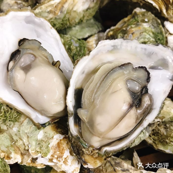 粥不出户(容桂店)生蚝图片