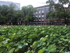 -四川大学(望江校区)