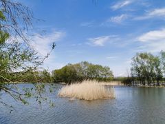 -白渔泡湿地公园