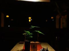 -普洱茶府(博乐广场店)