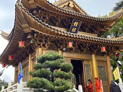 -上海东林寺(金山区)