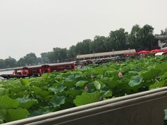 -小王府(什刹海店)