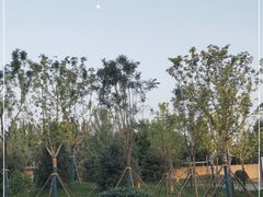 -林栖谷森林康养度假区