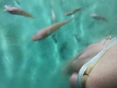 -重庆欢乐海底世界