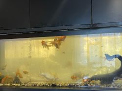 -悦鼎会海鲜姿造·宴会厅(东方明珠广场店)