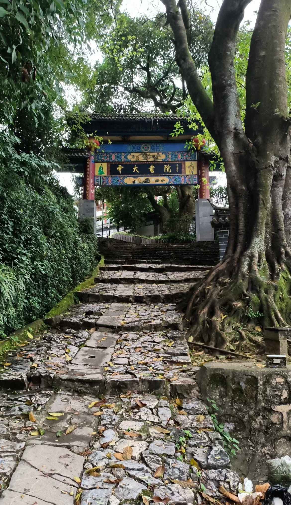 寻觅小众景点ing鲁史古镇